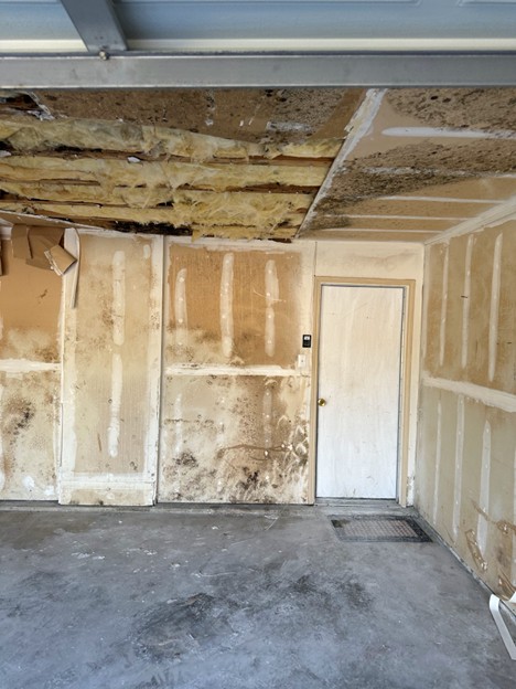 Causes and Prevention of Mold Growth in Homes