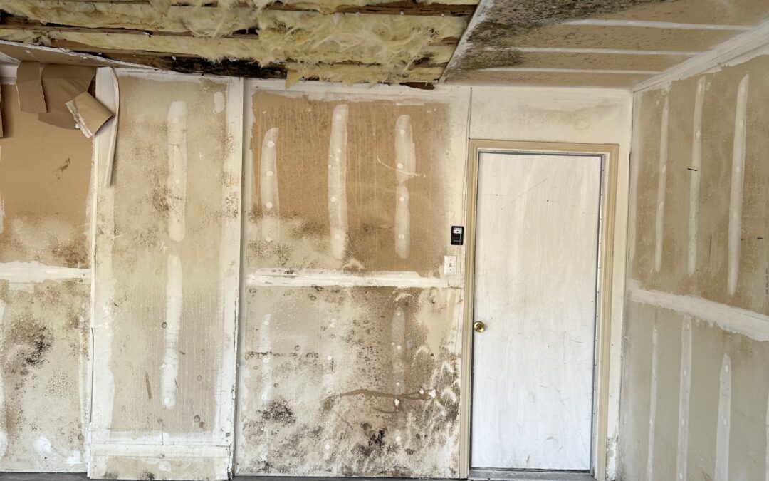 How to Prevent Mold Growth After Water Damage